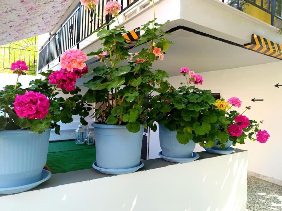 Sofia'S Home 9Min. Athens Airport Луца Экстерьер фото